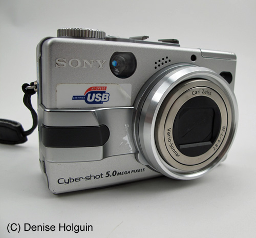 Big Bertha's Adventures