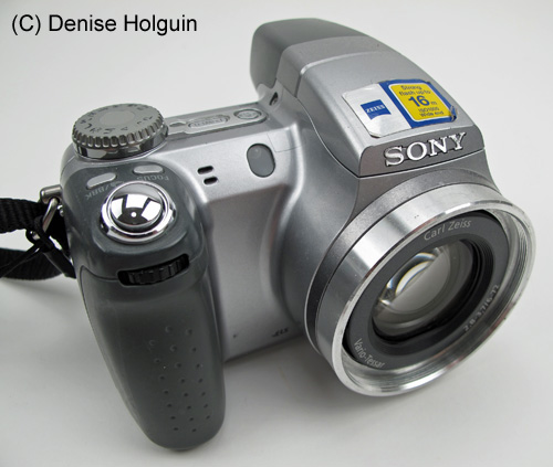 Big Bertha's Adventures