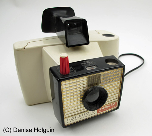 Big Bertha's Adventures