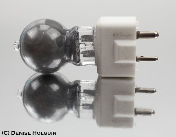 Big Bertha's Adventures