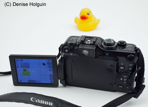 Big Bertha's Adventures