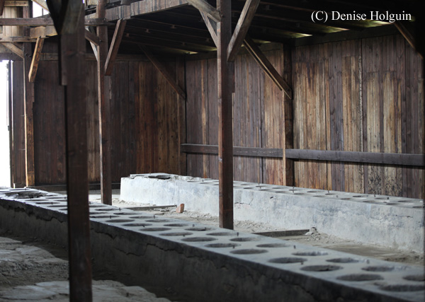 Big Bertha's Adventures