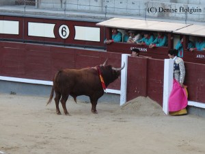 Big Bertha's Adventures