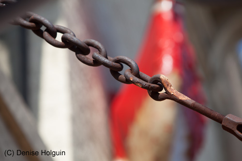 Big Bertha's Adventures