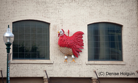 Big Bertha's Adventures