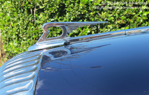 Big Bertha's Adventures