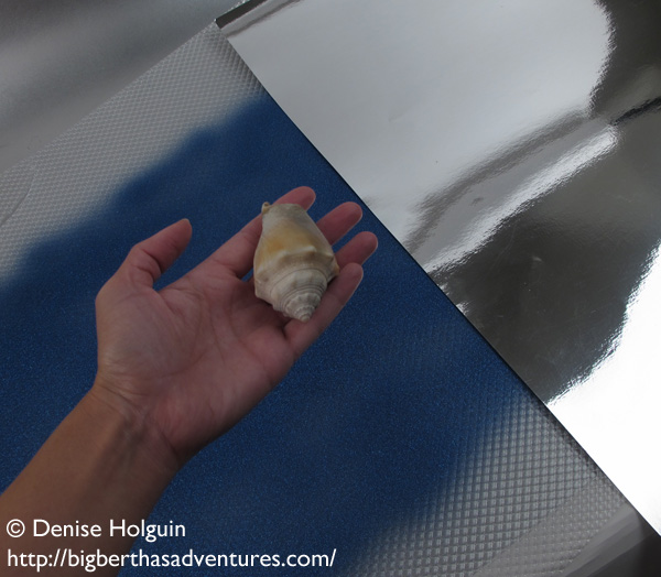 Big Bertha's Adventures