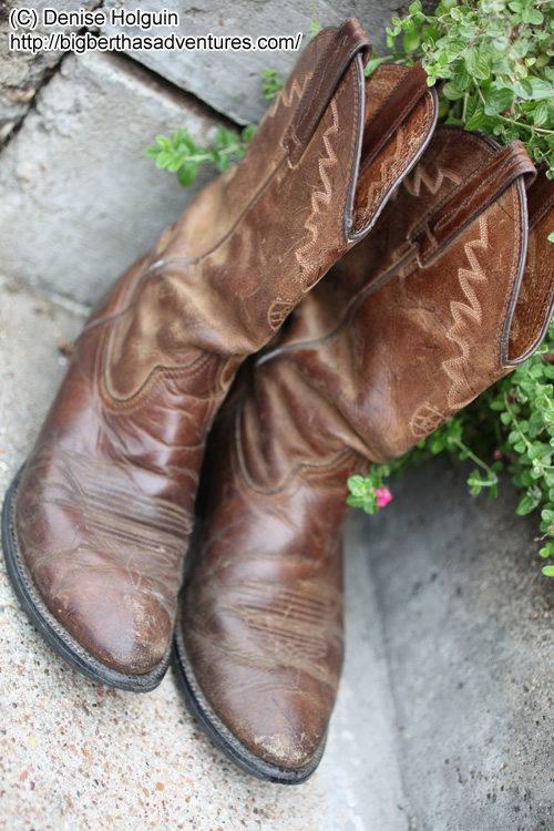 Big Bertha's Adventures