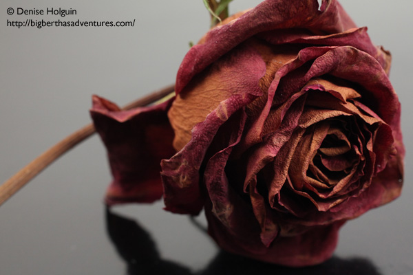 Big Bertha's Adventures