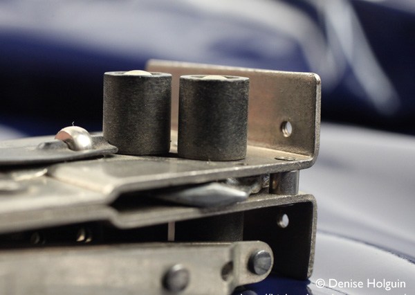 Big Bertha's Adventures