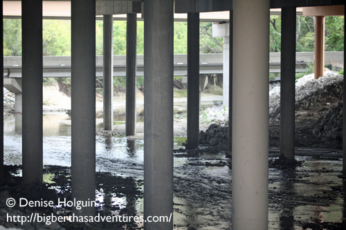 Big Bertha's Adventures