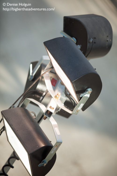 Big Bertha's Adventures