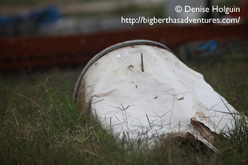 Big Bertha's Adventures