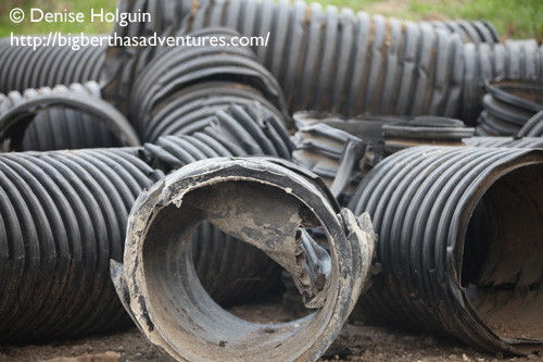 Big Bertha's Adventures