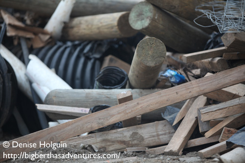 Big Bertha's Adventures