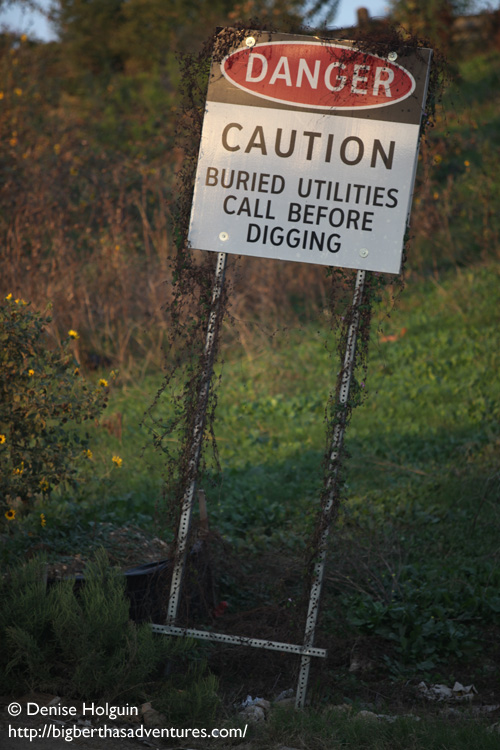 Big Bertha's Adventures