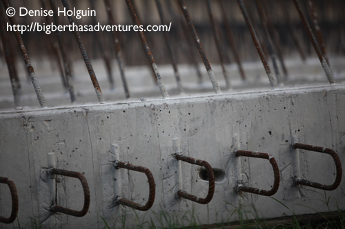 Big Bertha's Adventures