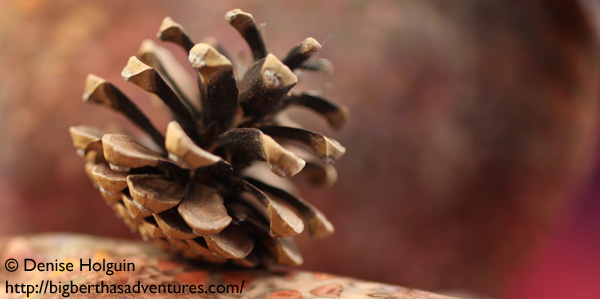 Big Bertha's Adventures