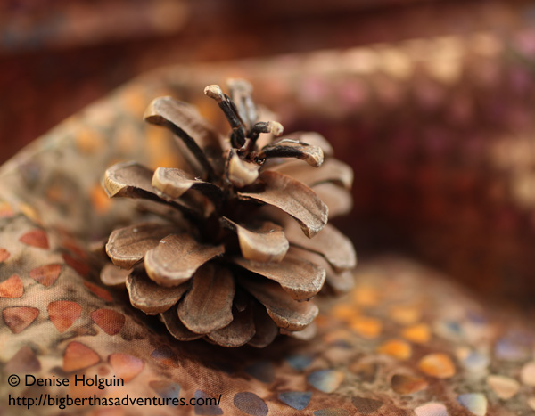 Big Bertha's Adventures