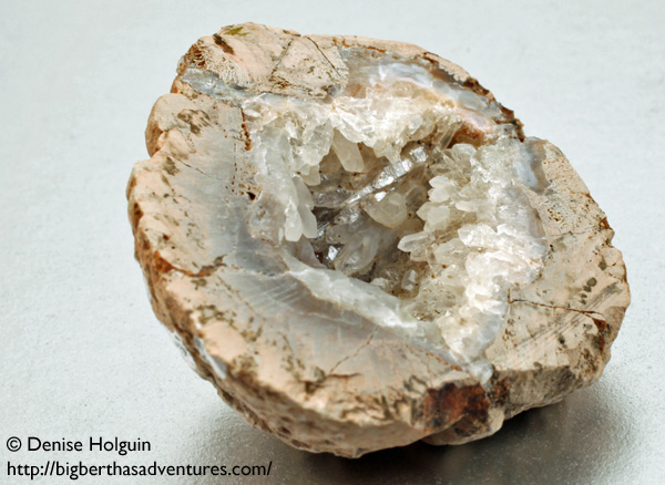 Big Bertha's Adventures