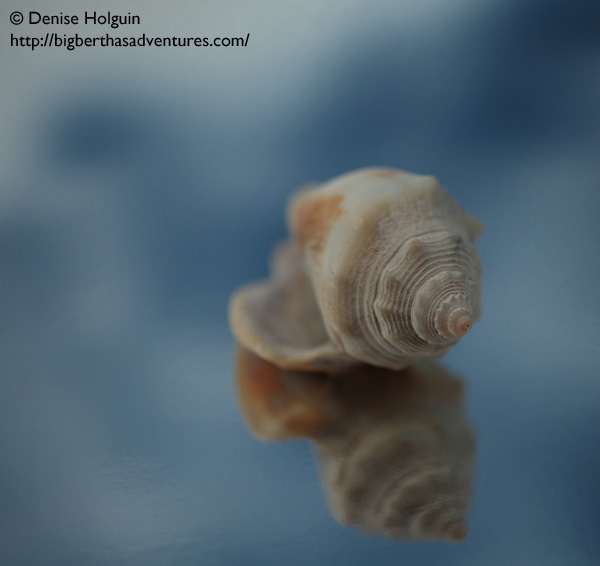 Big Bertha's Adventures