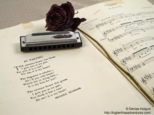 Big Bertha's Adventures