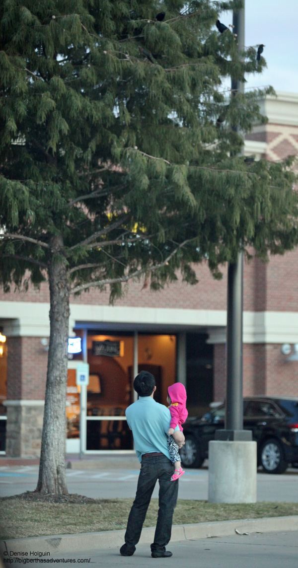 Big Bertha's Adventures