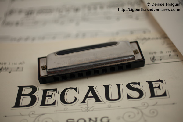 Big Bertha's Adventures