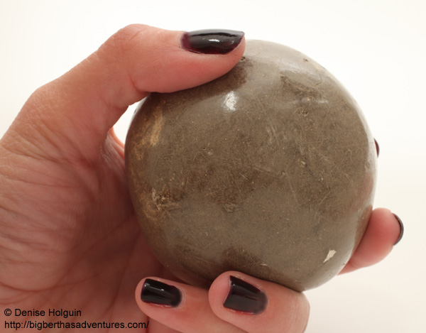 Big Bertha's Adventures