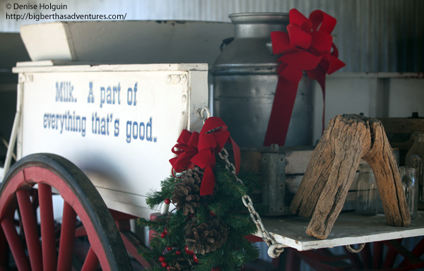 Big Bertha's Adventures