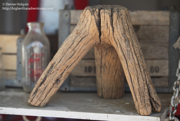 Big Bertha's Adventures