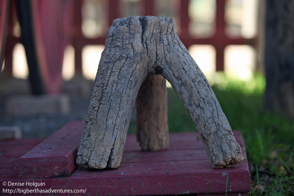 Big Bertha's Adventures