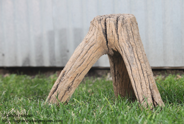 Big Bertha's Adventures