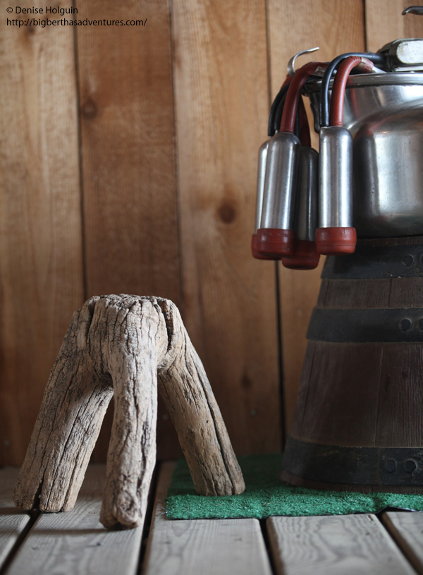 Big Bertha's Adventures