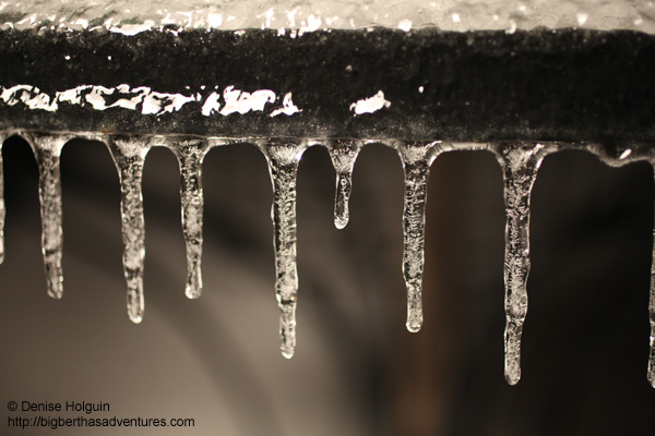 Big Bertha's Adventures