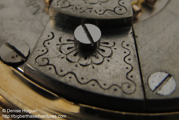 Big Bertha's Adventures