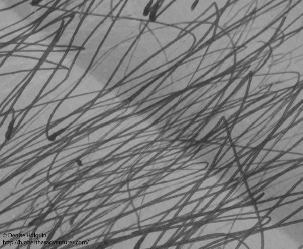 Big Bertha's Adventures