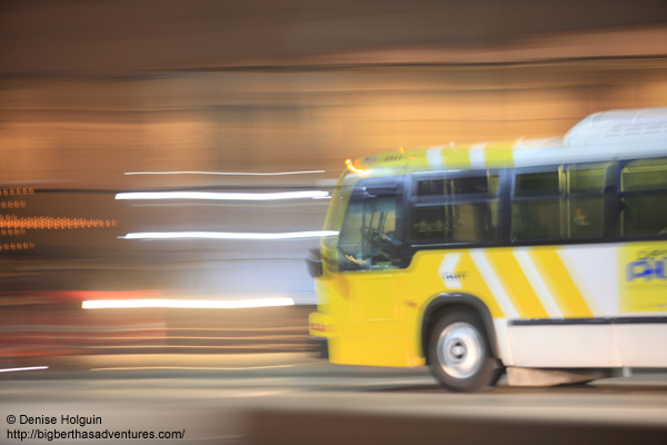 Big Bertha's Adventures