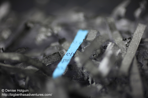 Big Bertha's Adventures