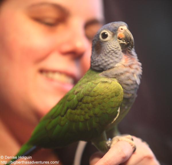 Big Bertha's Adventures