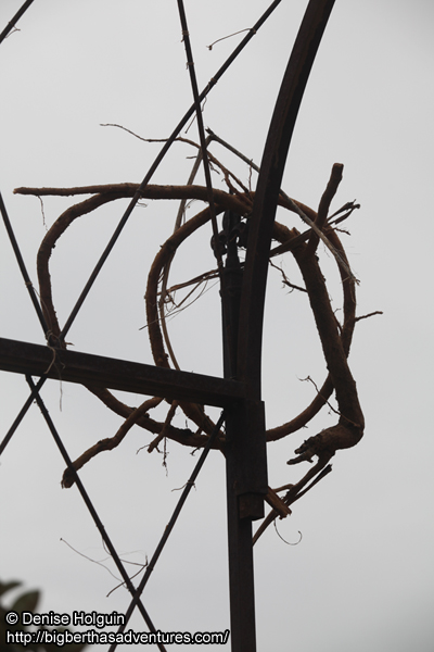 Big Bertha's Adventures