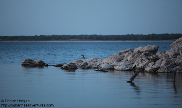 Big Bertha's Adventures