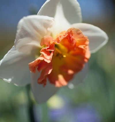 Big Bertha's Adventures