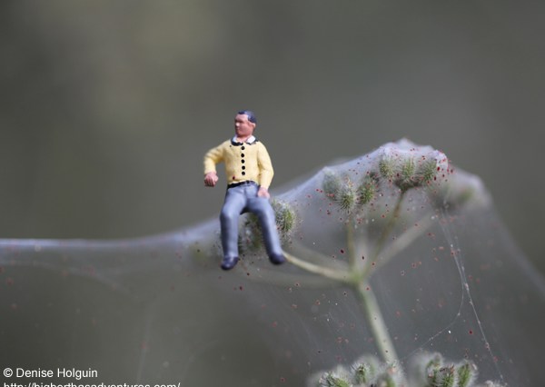 Big Bertha's Adventures