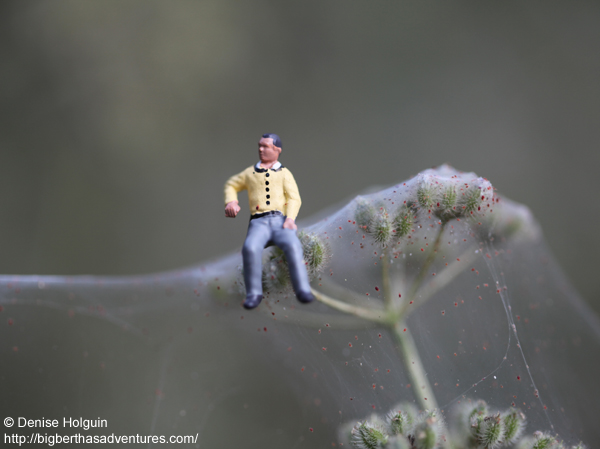 Big Bertha's Adventures