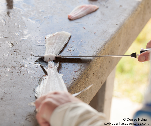 Big Bertha's Adventures