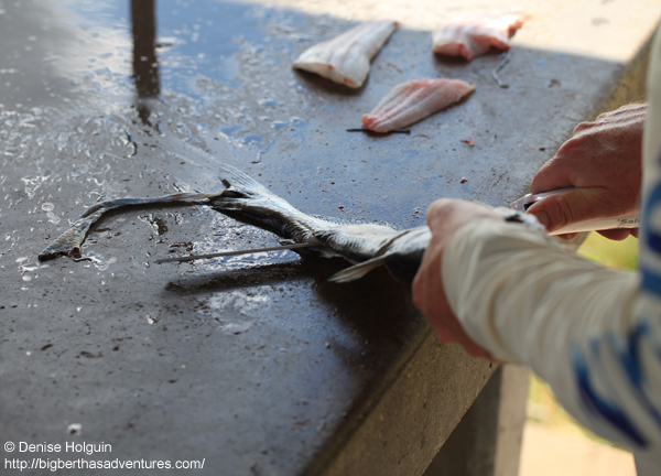 Big Bertha's Adventures