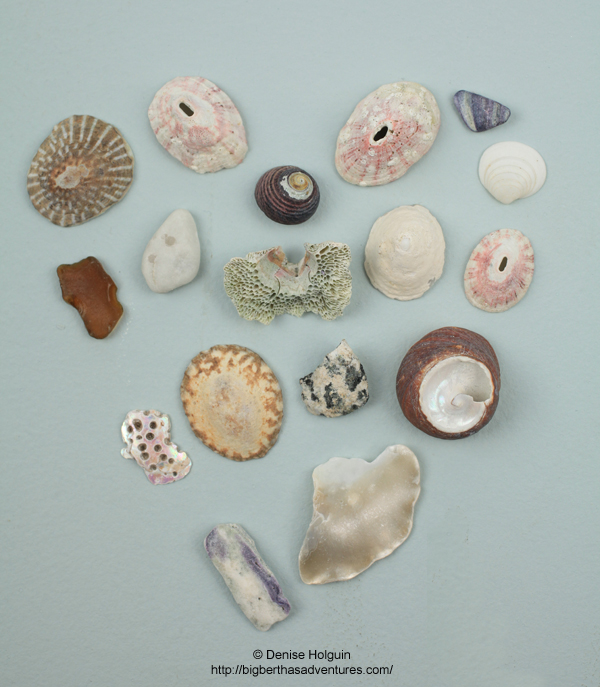 Big Bertha's Adventures