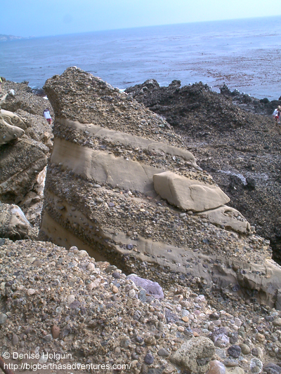 Big Bertha's Adventures