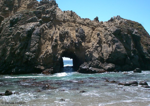 Big Bertha's Adventures